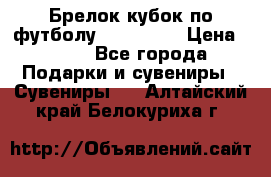 Брелок кубок по футболу Fifa 2018 › Цена ­ 399 - Все города Подарки и сувениры » Сувениры   . Алтайский край,Белокуриха г.